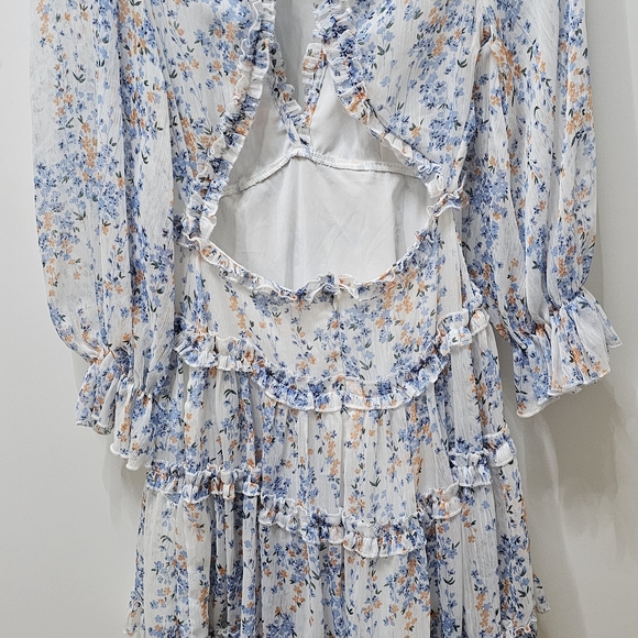 Floral Ruffle V-Neck Dress - Picture 5 of 6